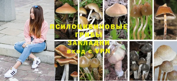 соль курить ск Вязьма